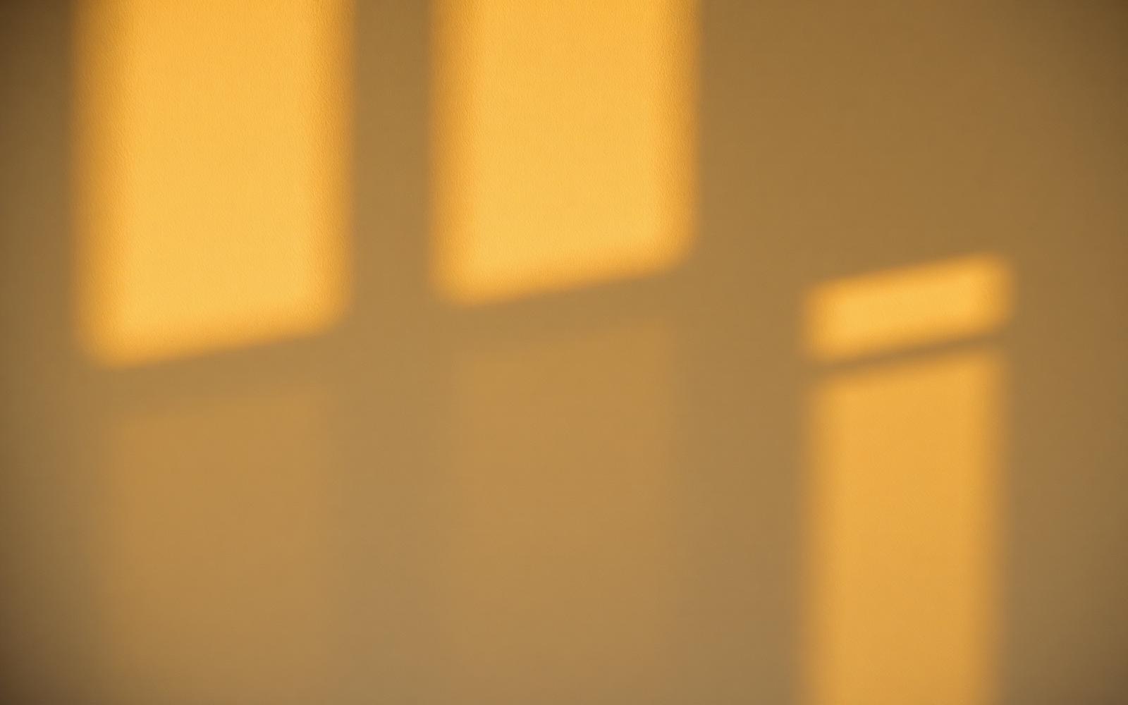 Warm dusk light falling across an ivory interior wall